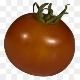 Free Photo Tomato Solanum Lycopersicum Grown Xitomatl - Plum Tomato, HD Png Download - tomato clipart png