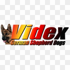 Farming Simulator, HD Png Download - german shepherd puppy png