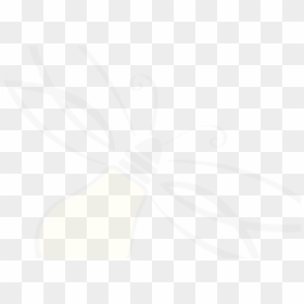 Firefly, HD Png Download - firefly insect png
