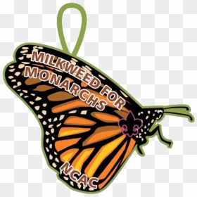 National Capital Area Council - Monarch Butterfly, HD Png Download - monarch butterflies png