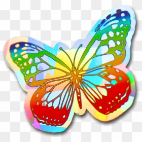 Monarch Butterfly Clipart , Png Download - Papilio Machaon, Transparent Png - monarch butterflies png
