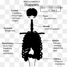 Complications Of Diabetes Drawing, HD Png Download - breathing png