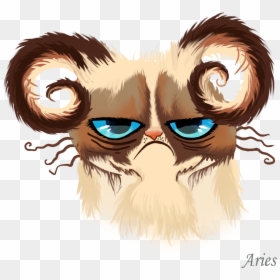 Grumpy Cat Horoscopes - Sagittarius Zodiac Signs As Cats, HD Png Download - grumpy cat face png