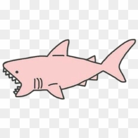 #tiburon - Pink Shark Transparent, HD Png Download - tiburon png
