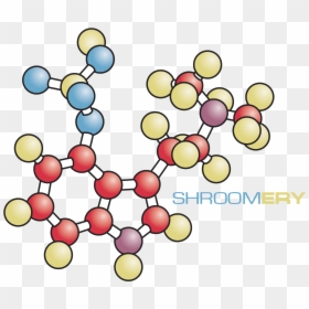 Circle, HD Png Download - light .png