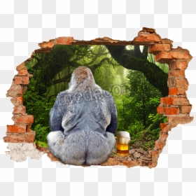 Fake Hole In The Wall, HD Png Download - hole in the wall png