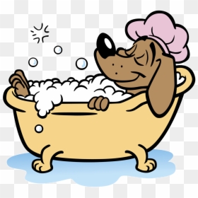 Transparent Dog Brush Clipart - Animal Taking A Bath, HD Png Download - dog bath png