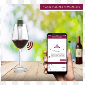Red Wine, Myoeno, Wine Scanner, Wine App - Wine Glass, HD Png Download - empty wine glass png
