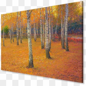Grove, HD Png Download - birch trees png
