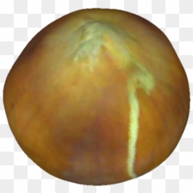 Fruit, HD Png Download - red onion png