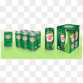 Canada Dry Ginger Ale Products In A Package And In - Cola, HD Png Download - soda can top png