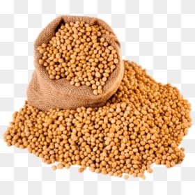Bag Of Soybeans - Soy Beans Cup, HD Png Download - soybeans png