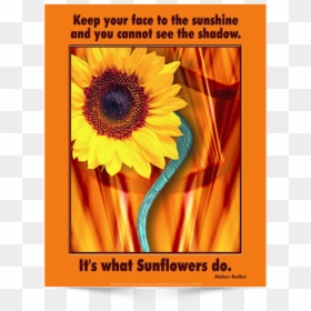This Is The English Version Of Poster Design - Sunflower, HD Png Download - helen keller png