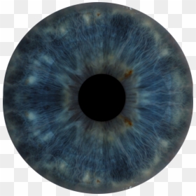 Eyeball Clipart Eye Surgery - Eye Iris Anatomy, HD Png Download - eye iris png