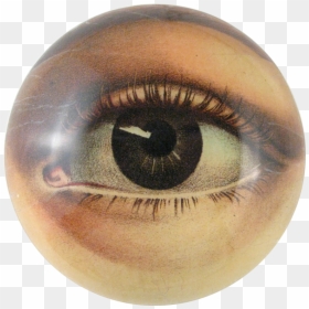 John Derian Eye, HD Png Download - eye iris png
