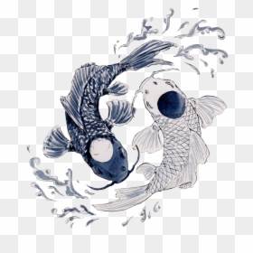 Mermaid In Celtic Knot - Koi Fish Drawing Yin Yang, HD Png Download - koi fish tattoo png