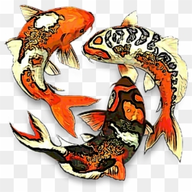 Koifish Aesthetic Koi Fish Fishes Fishbowl Water Fishes - Koi Fish Transparent Background, HD Png Download - koi fish tattoo png