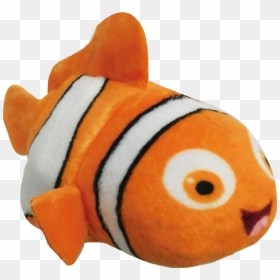 Finding Nemo Characters Png , Png Download - Coral Reef Fish, Transparent Png - nemo png image