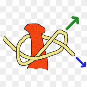 Transparent Lasso Clipart, HD Png Download - lasso clipart png
