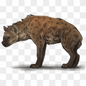Download Hyena Png Transparent Images Transparent Backgrounds - Hyena Png, Png Download - wild animal png