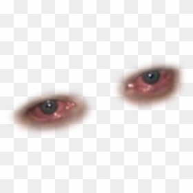 Brendan Fraser Eyes Png, Transparent Png - eye png image