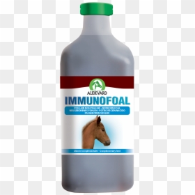 Immunofoal Audevard, HD Png Download - foal png