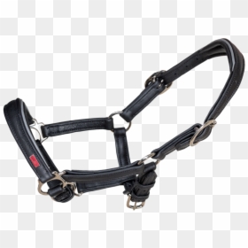 Soft Comfort Leather Foal Halter - Halter, HD Png Download - foal png