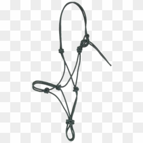 Halter, HD Png Download - foal png