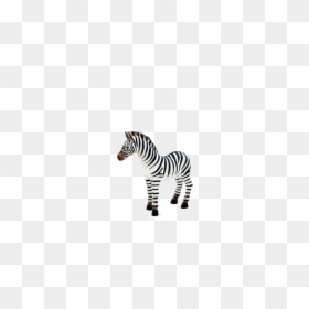 Zebra Foal Png, Transparent Png - foal png