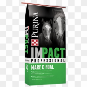 Purina Impact Professional Mare & Foal Horse Feed - Purina Pink 50, HD Png Download - foal png