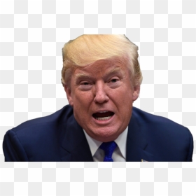 President Of Namibia 2018, HD Png Download - donald trump .png