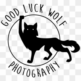 Good Luck Wolf Photography, HD Png Download - baby wolf png