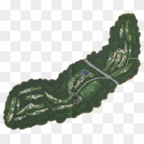 Aerial Tour - Pines Barren Golf Club, HD Png Download - tree aerial view png