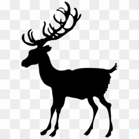 Deer, HD Png Download - rudolph antlers png