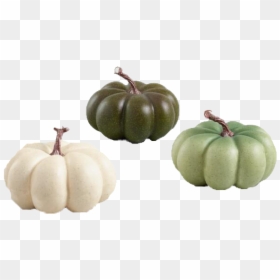 Medium Ivory And Green Faux Heiloom Pumpkins Set Of - Green Faux Pumpkins, HD Png Download - real pumpkin png