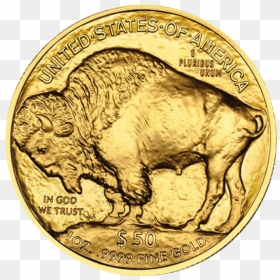 1 Oz Buffalo Gold, HD Png Download - blank gold coin png