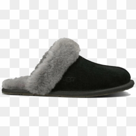 Chaussons Ugg, HD Png Download - ugg png