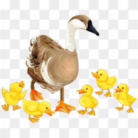 Transparent Canadian Goose Clipart - Goose With Baby Clipart, HD Png Download - baby hair png