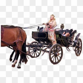 #maddona #carruagem #carriage #cars #horses #horse - Horse Cars, HD Png Download - horse and carriage png