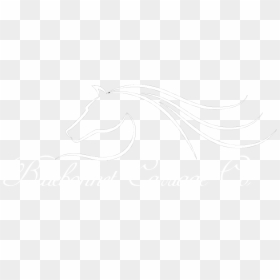Bluebonnet Carriage Company - Stallion, HD Png Download - horse and carriage png