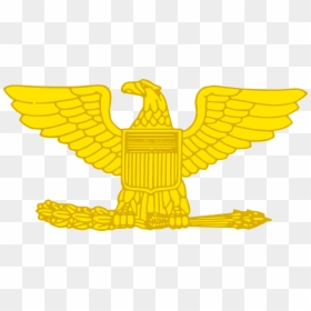 Colonel Gold - Rank Colonel, HD Png Download - colonel rank png
