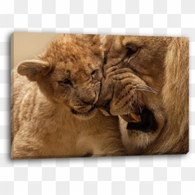 Lion King Movie Mufasa Death, HD Png Download - lion cub png