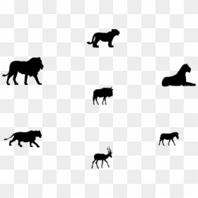 I Used Theses Elements Above To Portray The Information, HD Png Download - lion cub png