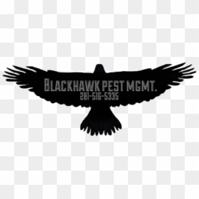 Blackhawk Png, Transparent Png - blackhawk png