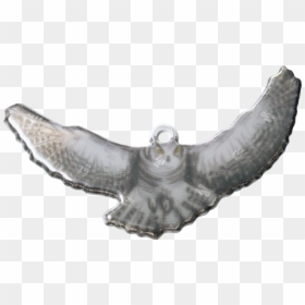 Soft Reflector Pendant, HD Png Download - owl flying png