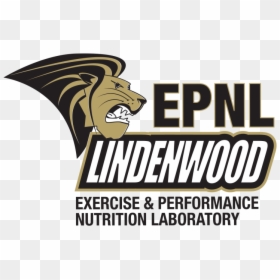 Exercise & Performance Nutrition Laboratory - Illustration, HD Png Download - lindenwood logo png