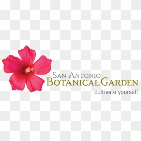 Sabg Logo Large File - San Antonio Botanical Garden Logo, HD Png Download - botanical png