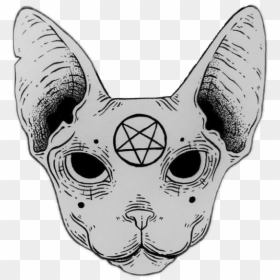 #cat #pentagrama #sticker - Pentagrama Cat, HD Png Download - pentagrama png
