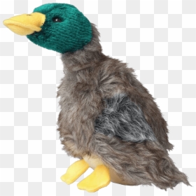Plush Duck For Dogs - Dog Toy, HD Png Download - dogs playing png