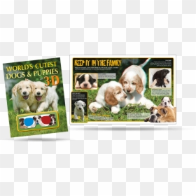 World"s Cutest 3d Dogs And Puppies - Companion Dog, HD Png Download - dogs playing png
